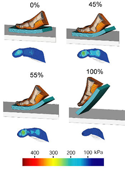 Foot Models