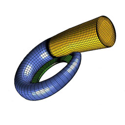 model of fluid in a volute