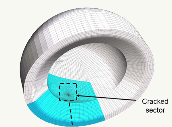 Biomechanics of failure modalities in total hip arthroplasty