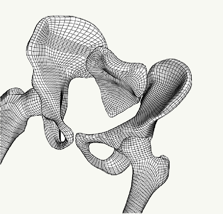 Problem Solving Environments