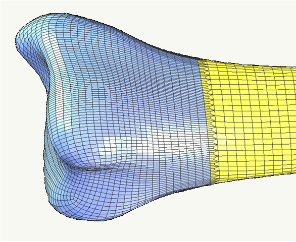 Human Response to High-Rate Loading