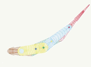Shape Adaptive Airfoils for Turbomachinery Applications: Simulation and Optimization