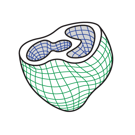 flexible grid over a block