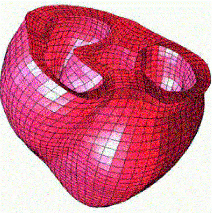 heart.GIF?Revision=bxH&Timestamp=BBdb0l